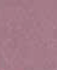 Bare Mauve