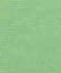 Honeydew
