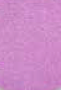 Iced Lilac